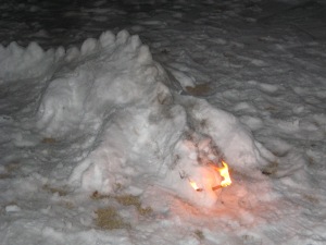 snow-dragon-01